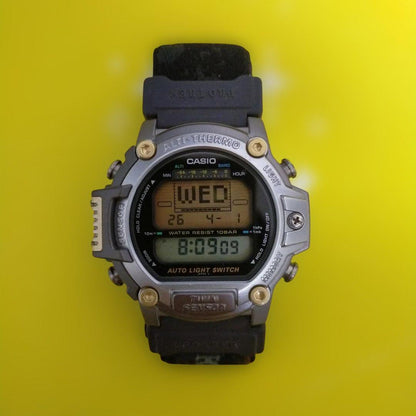 CASIO PROTREK Quartz Men's Watch — Japanese