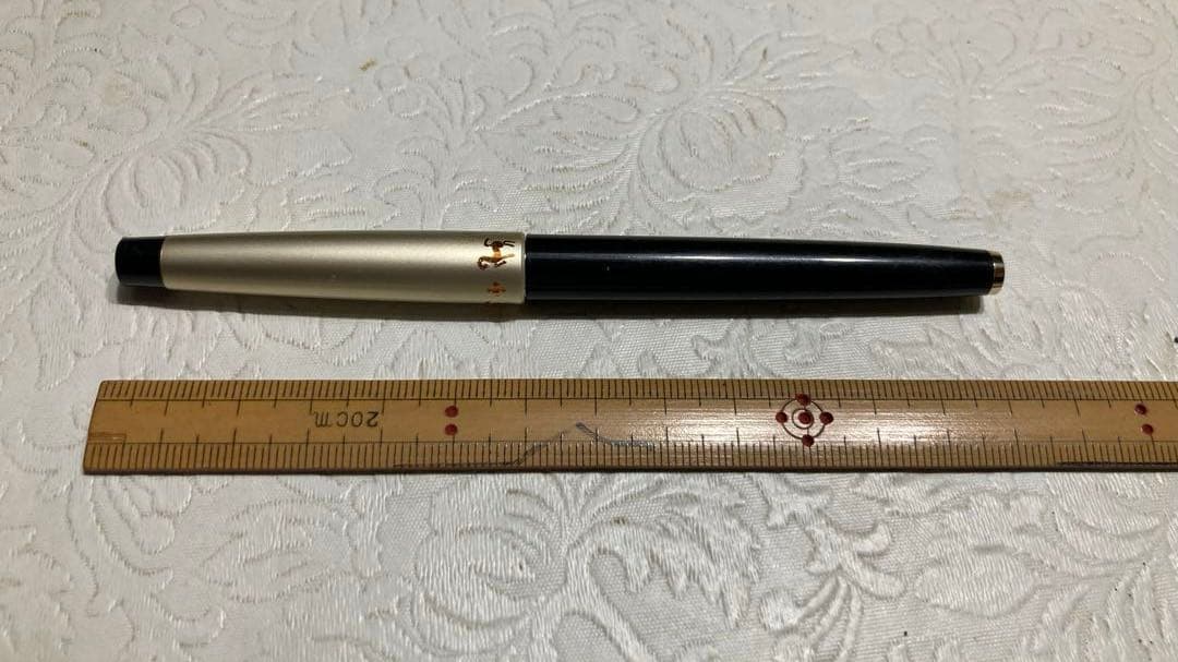 Pilot fountain pen with 14K gold tip and cartridge cartridge system on a white background