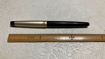 Pilot fountain pen with 14K gold tip and cartridge cartridge system on a white background