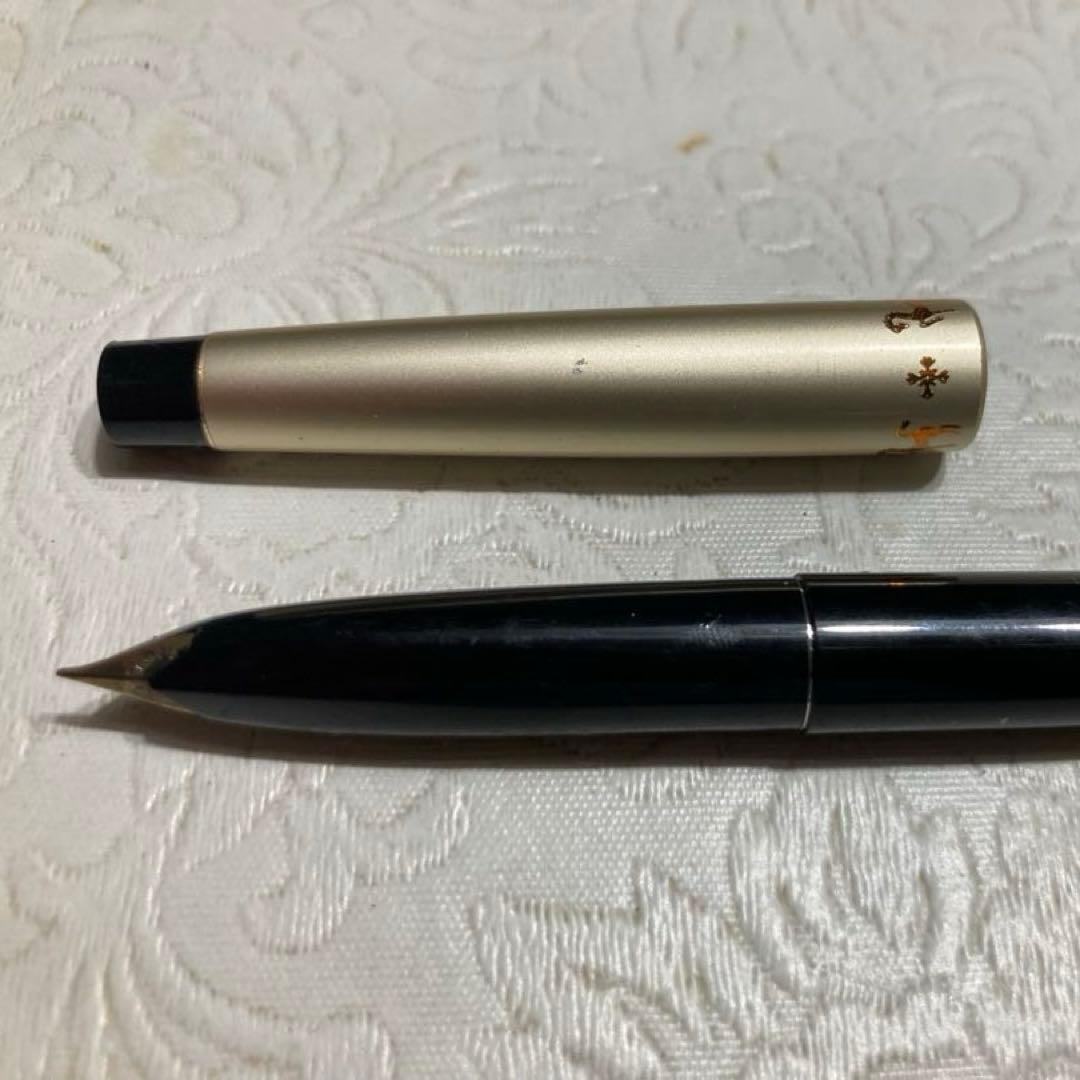 Pilot fountain pen with 14K gold tip and cartridge cartridge system on a white background