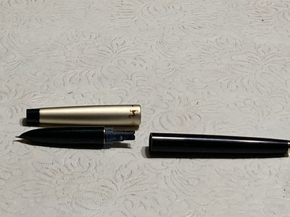 Pilot fountain pen with 14K gold tip and cartridge cartridge system on a white background