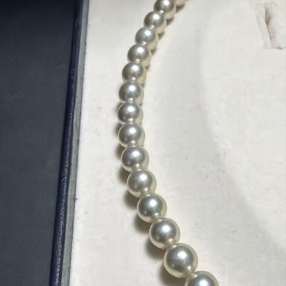 TASAKI Akoya Pearl Necklace with 7.5mm pearls, 42 cm length, displayed on white background