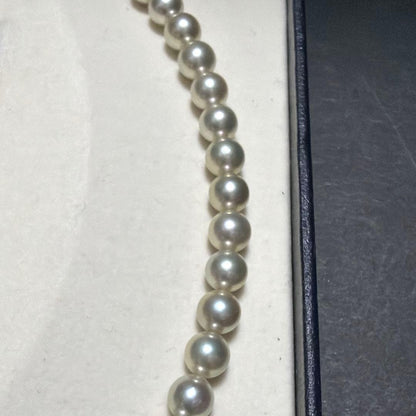 TASAKI Akoya Pearl Necklace with 7.5mm pearls, 42 cm length, displayed on white background
