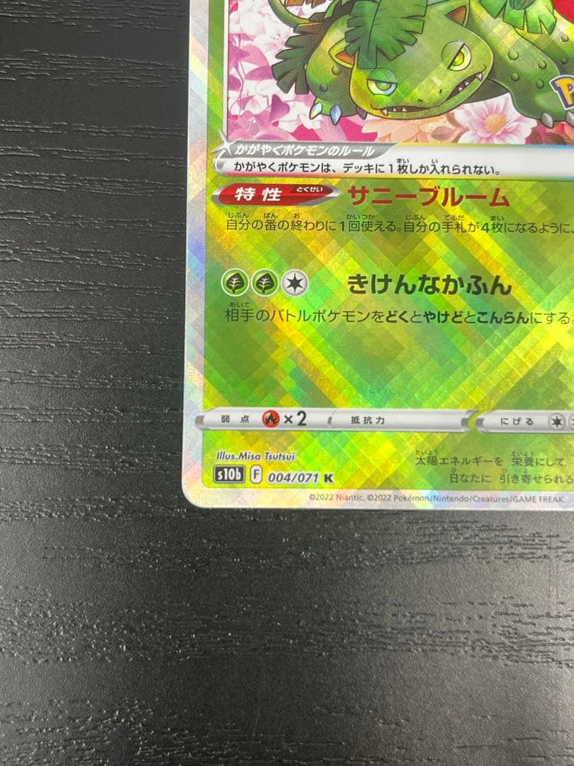 Pokemon Blastoise — Japanese