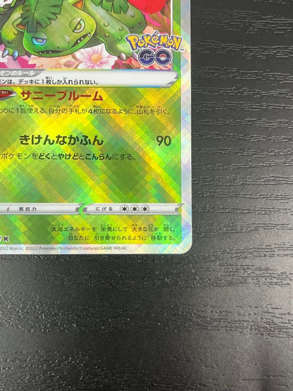 Pokemon Blastoise — Japanese