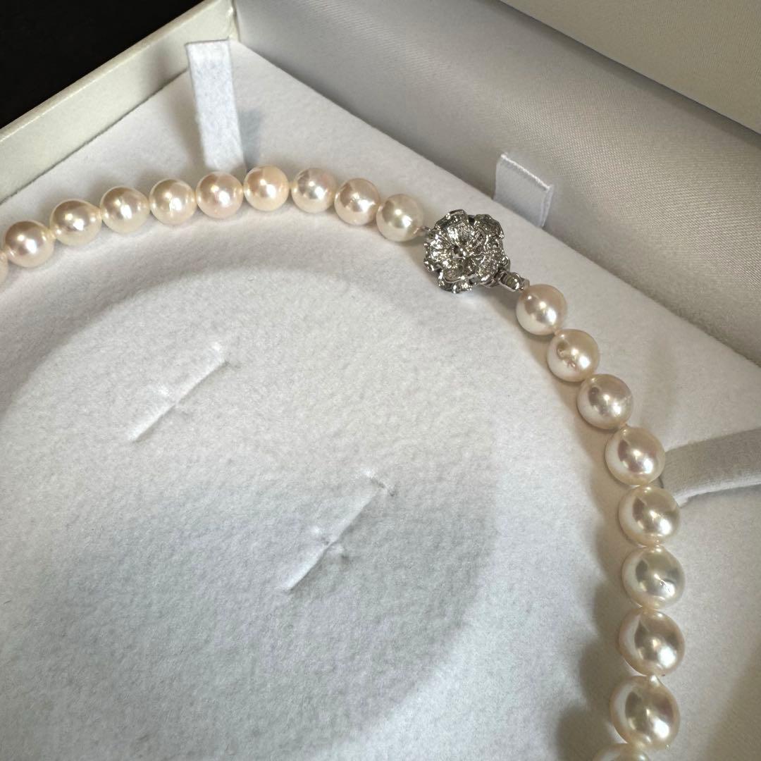Akoya pearl necklace with white to pink pearls and silver metal fittings displayed on white background