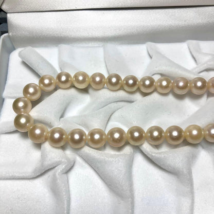 Akoya pearl necklace with 8.0-8.5mm white pearls and silver clasp, 43cm length