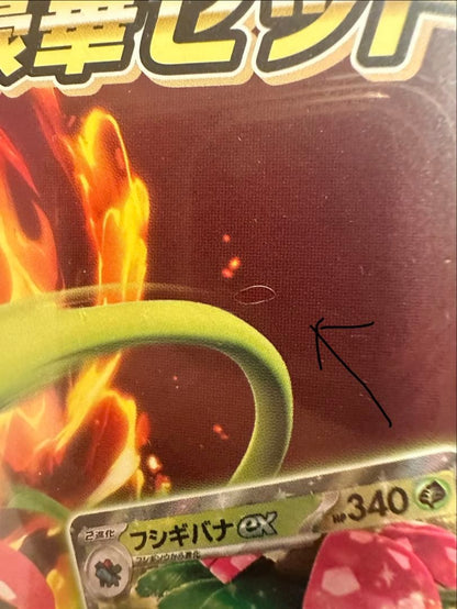 Pokemon Venusaur ex — Japanese