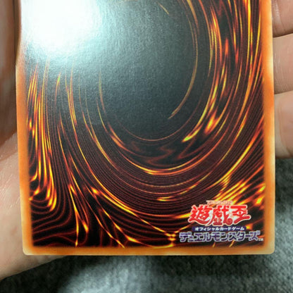 Yu-Gi-Oh Yu-Gi-Oh! Rose Dragon Secret Asian — Japanese