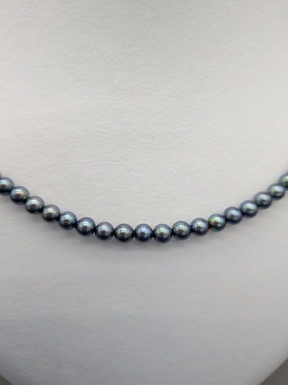 Akoya cultured pearl baby necklace with black peacock tone pearls and silver clasp on white background