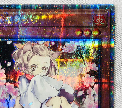 Yu-Gi-Oh Ash Blossom & Joyous Spring — Japanese