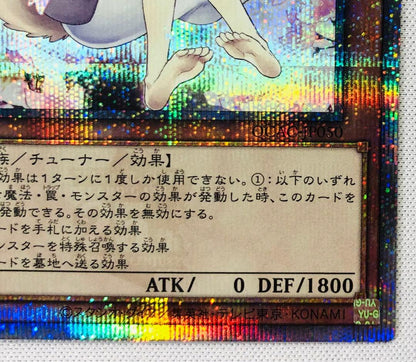 Yu-Gi-Oh Ash Blossom & Joyous Spring — Japanese