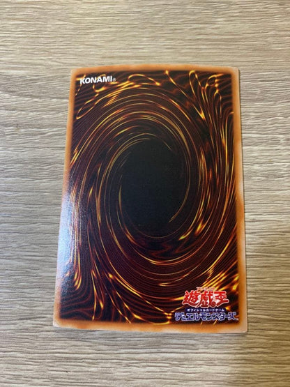 Yu-Gi-Oh Red-Eyes Black Dragon — PG-09 — Japanese