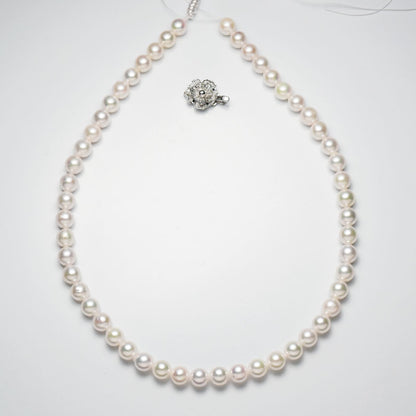 Akoya pearl necklace with 7.5-8mm white pearls and silver clasp measuring 42cm length