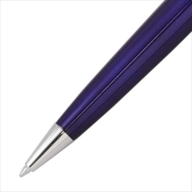WATERMAN Expert Essential Dark Blue CT 2093761 ballpoint pen with silver accents