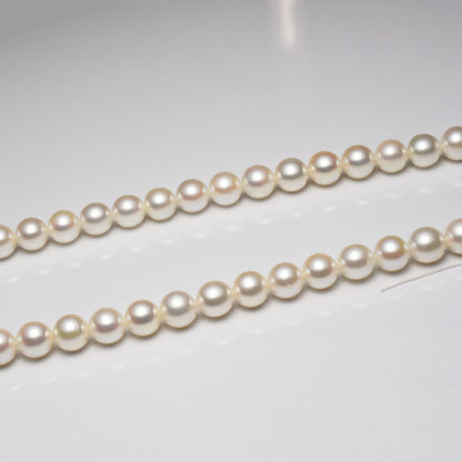Akoya pearl necklace with 7.5-8mm pearls measuring 42cm in length on a white background