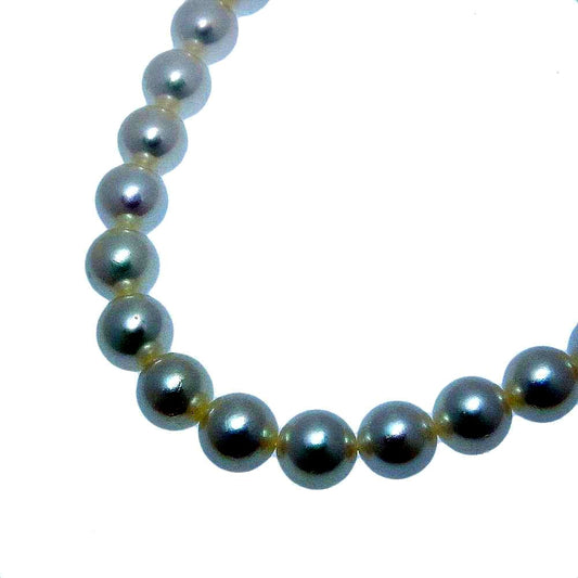 Mikimoto 6.5mm Akoya pearl necklace 39cm length with silver clasp, used condition