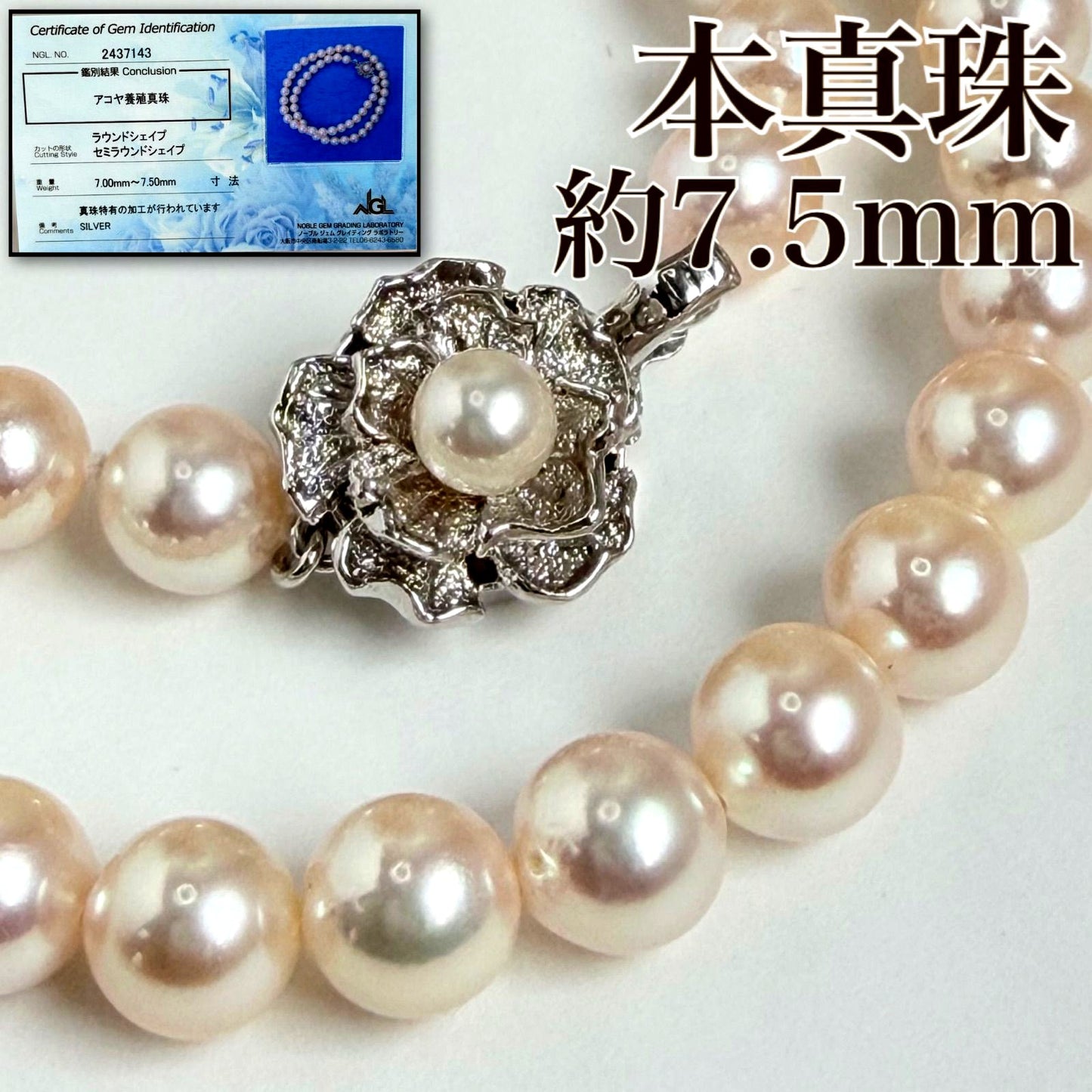 Akaoya pearl necklace with pearls sized 7.0mm to 7.5mm, 42cm length, displayed on white background