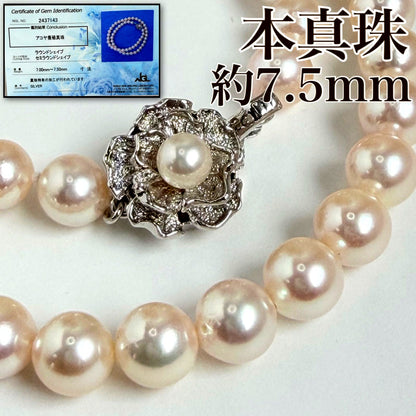 Akaoya pearl necklace with pearls sized 7.0mm to 7.5mm, 42cm length, displayed on white background
