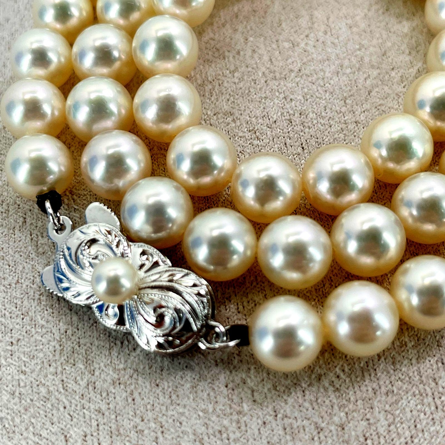 Mikimoto Akoya Pearl Silver Necklace model 24-2988 displayed with pearls and silver chain in jewelry box