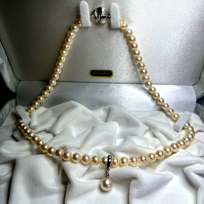Akoya genuine pearl necklace with 6.0-6.5mm pearls and sterling silver fittings displayed with case