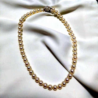 Akoya pearl necklace A with 38 cm length, 6 to 6.5 mm pearls, and silver clasp on white background