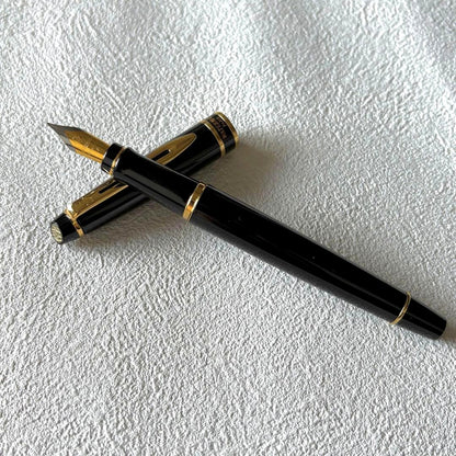WATERMAN Expert Essential Black GT fountain pen with fine nib, unused condition