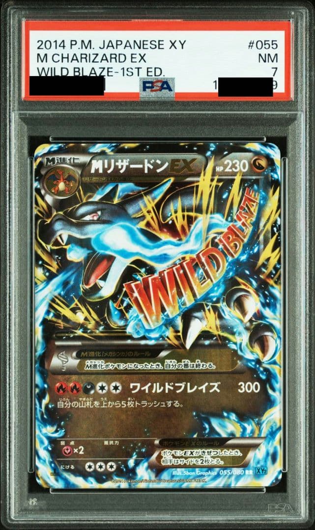 Pokemon Charizard ex — XY Expansion Pack Wild Blaze — Japanese