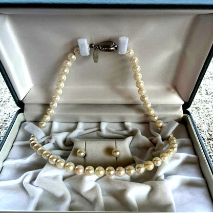 Akoya Pearl 3-piece set with necklace featuring single-pearl pendant and titanium earrings displayed in a gray case