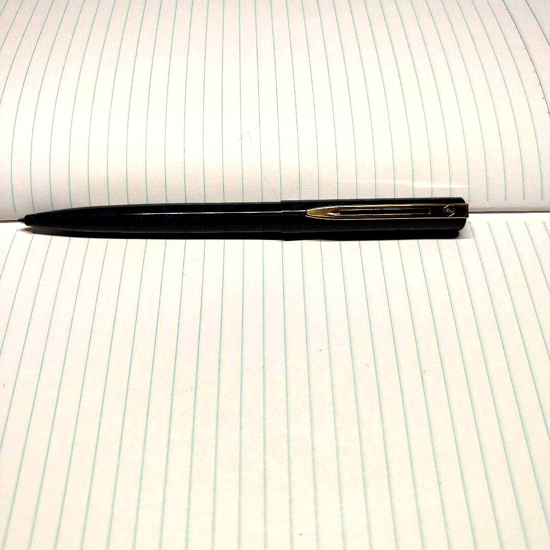 Waterman black ballpoint pen with gold clip and slim black plastic body