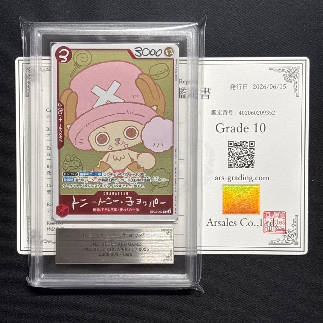 ARS 10 One Piece Chopper — Japanese