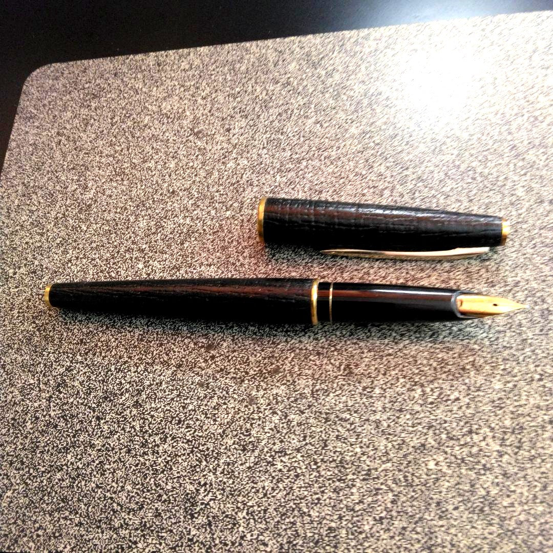 Pilot fountain pen with 18K gold fine nib and brown leather wrapped body on white background