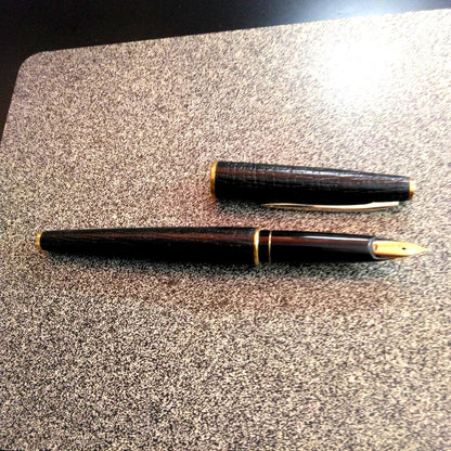 Pilot fountain pen with 18K gold fine nib and brown leather wrapped body on white background