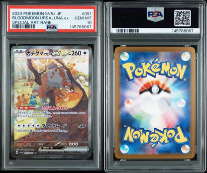 PSA 10 Pokemon Ursaluna ex SAR — SV Enhanced Expansion Pack Crimson Haze — Japanese