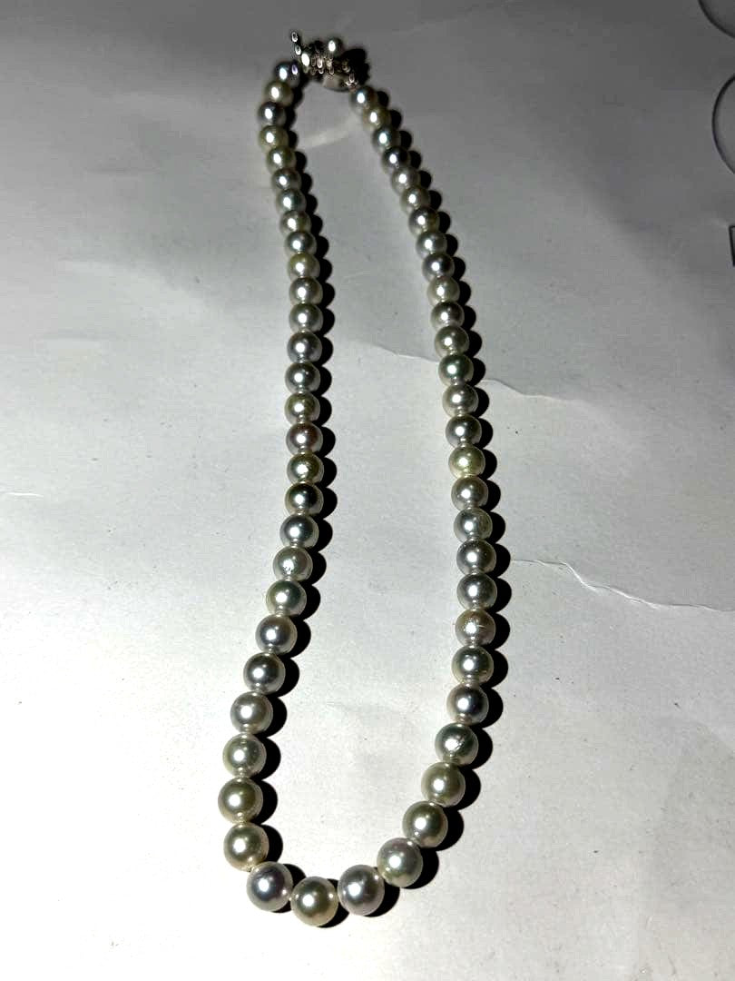 Akoya seawater pearl necklace with 7.5mm blue-gray pearls and silver color clasp