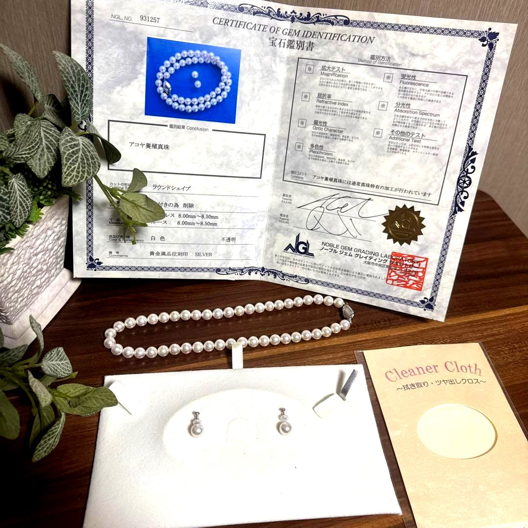 PLUSTER Akoya cultured pearl necklace with 8-8.5mm pearls and matching K14 white gold earrings on white background