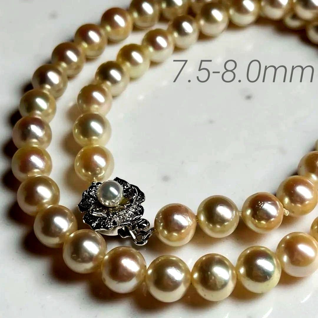 Teriyaki Akoya pearl necklace with cream white 7.5-8.0mm pearls and silver clasp on white background