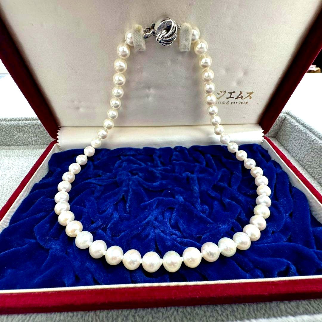 Oyster pearl necklace featuring 8mm white Akoya pearls strung on a classic design