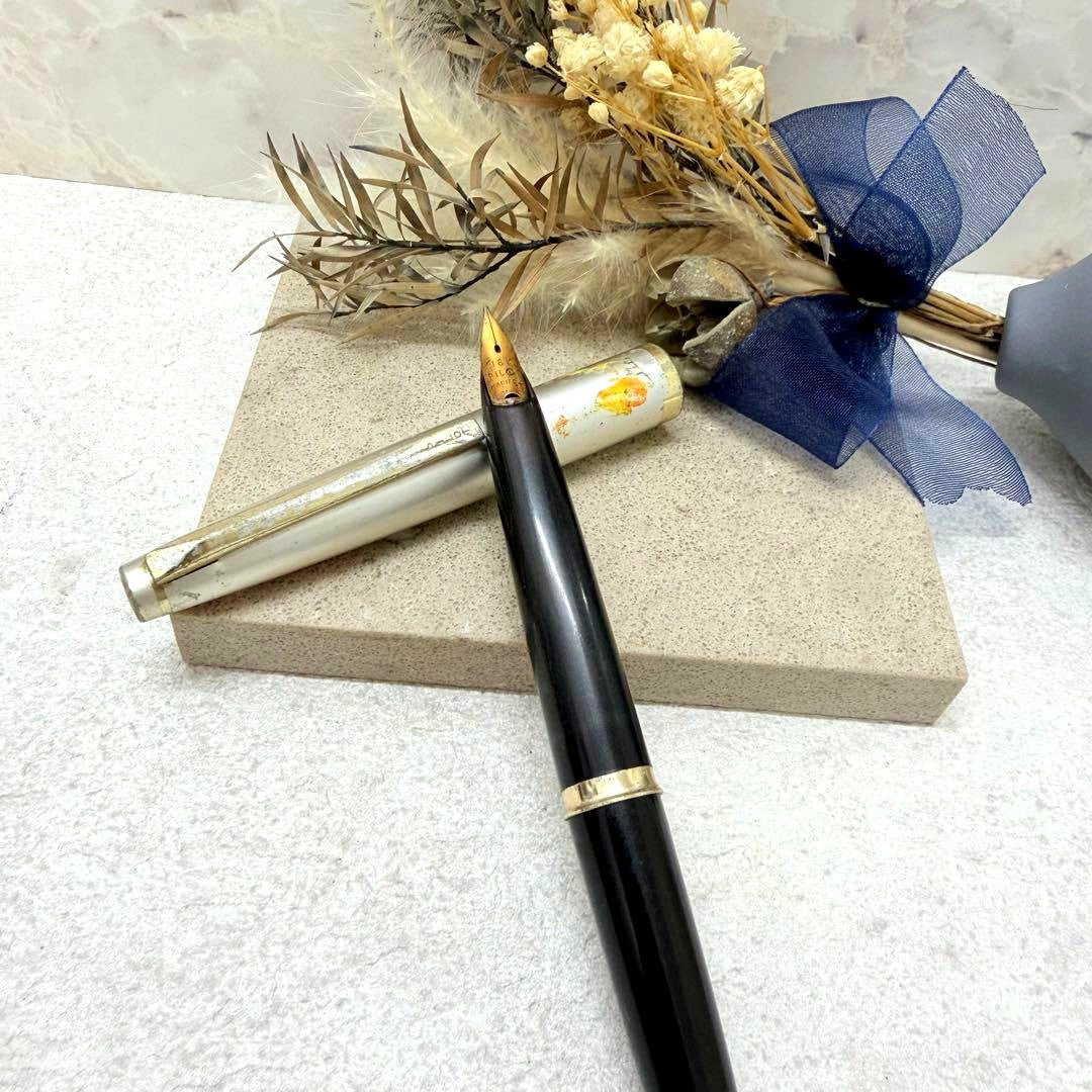 Pilot P25 fountain pen featuring a 20 million yen K18 750 18K gold nib
