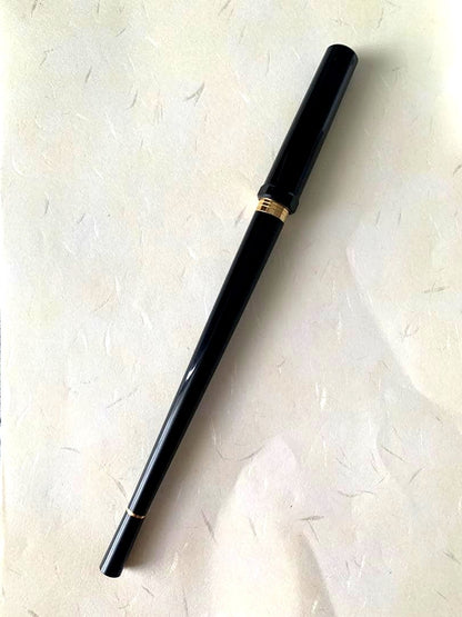 Discontinued Pilot DP-500 black fountain pen with fine 14K nib in unused condition