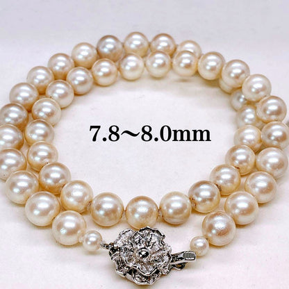 Akaoya True Pearl Necklace with 43 cm length and lustrous white pearls on a clean background