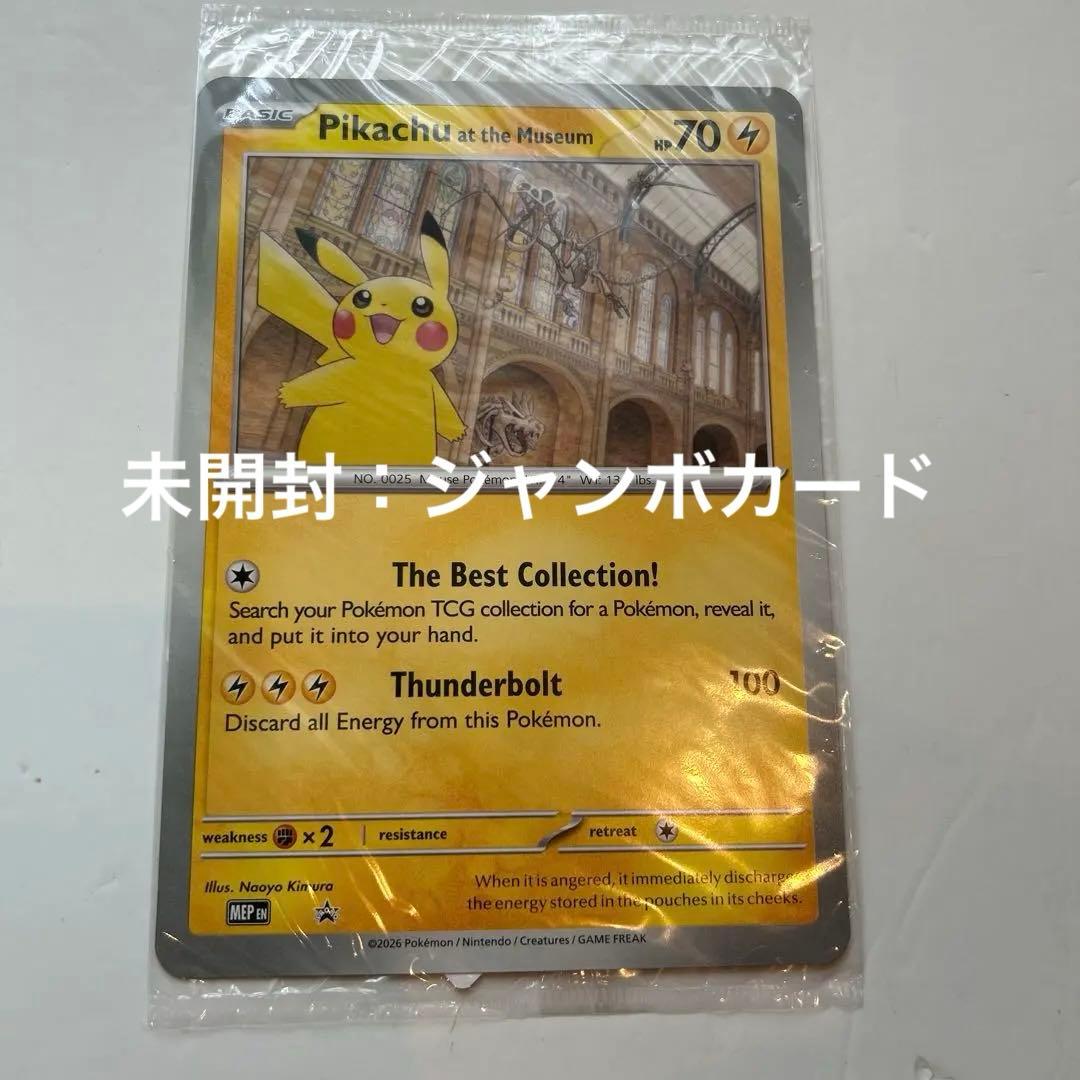 Pokemon Pikachu at the Museum — Japanese