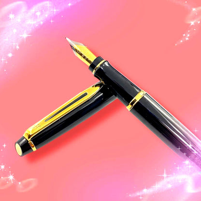 Waterman Expert Essential fountain pen with fine nib in black and gold, displayed with box and replacement cartridge