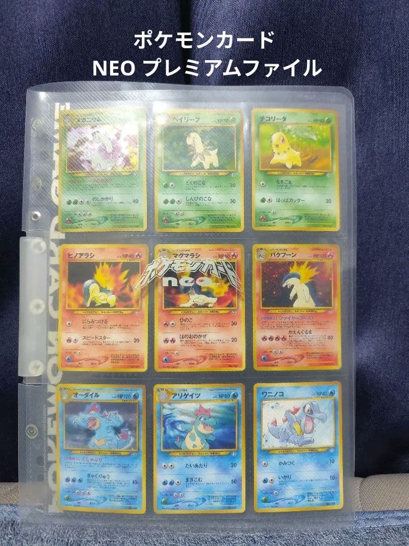 Pokemon Pokémon Card NEO Premium File Gold and Silver New World — Japanese