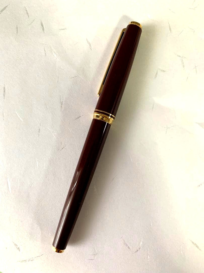 PILOT DELUXE fountain pen in Bordeaux with 14K fine nib shown from side on white background