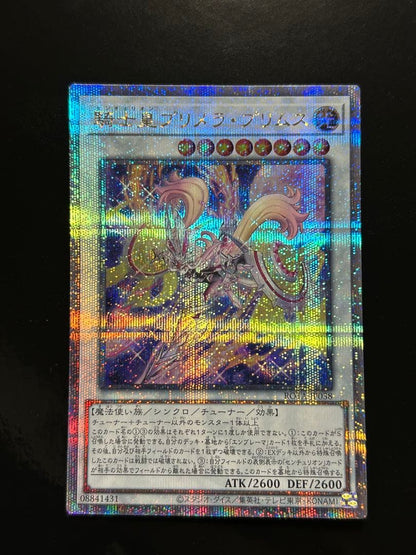 Yu-Gi-Oh Knight皇 Prisma Prima 25th — Japanese