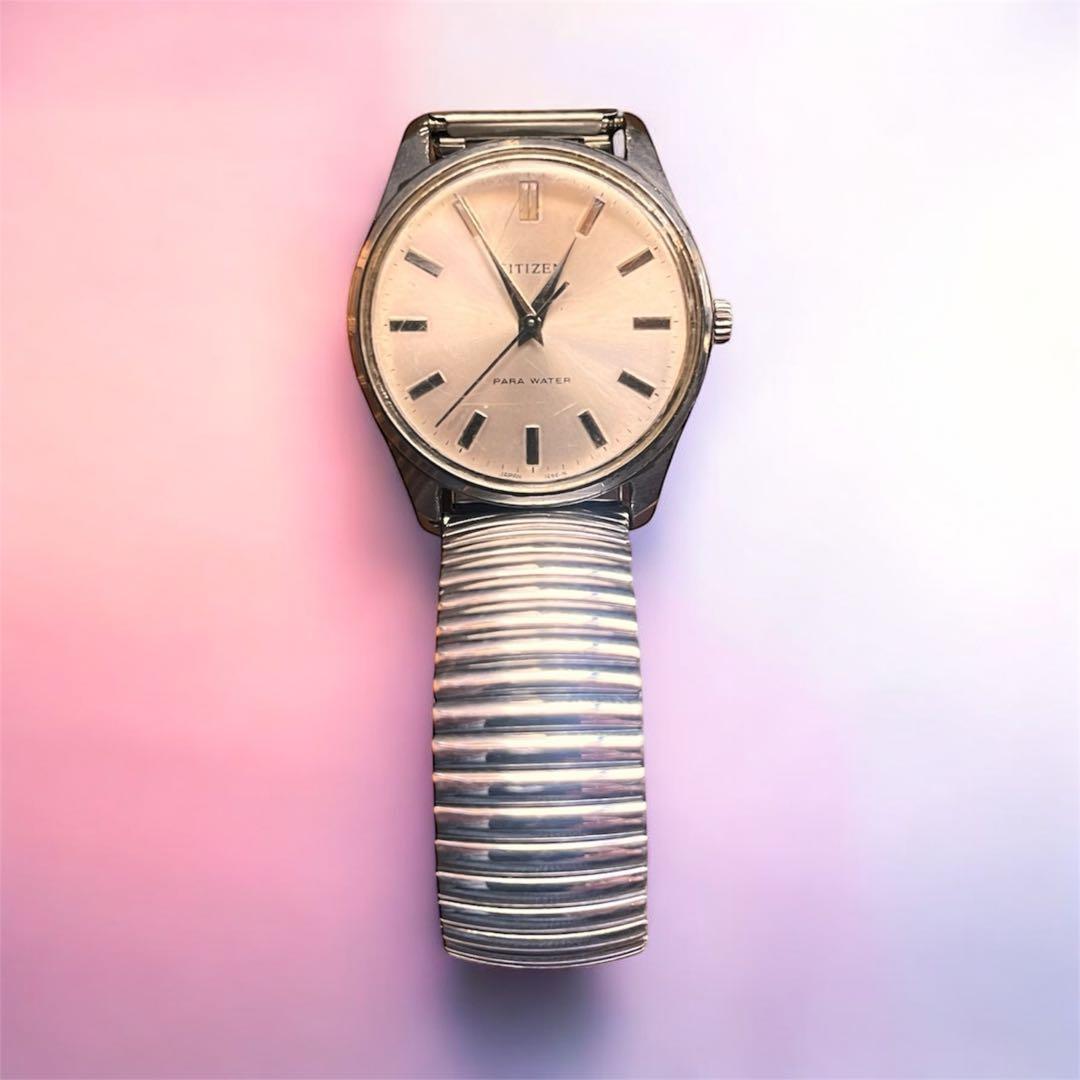 Citizen Parawater Manual Men's Watch — Japanese