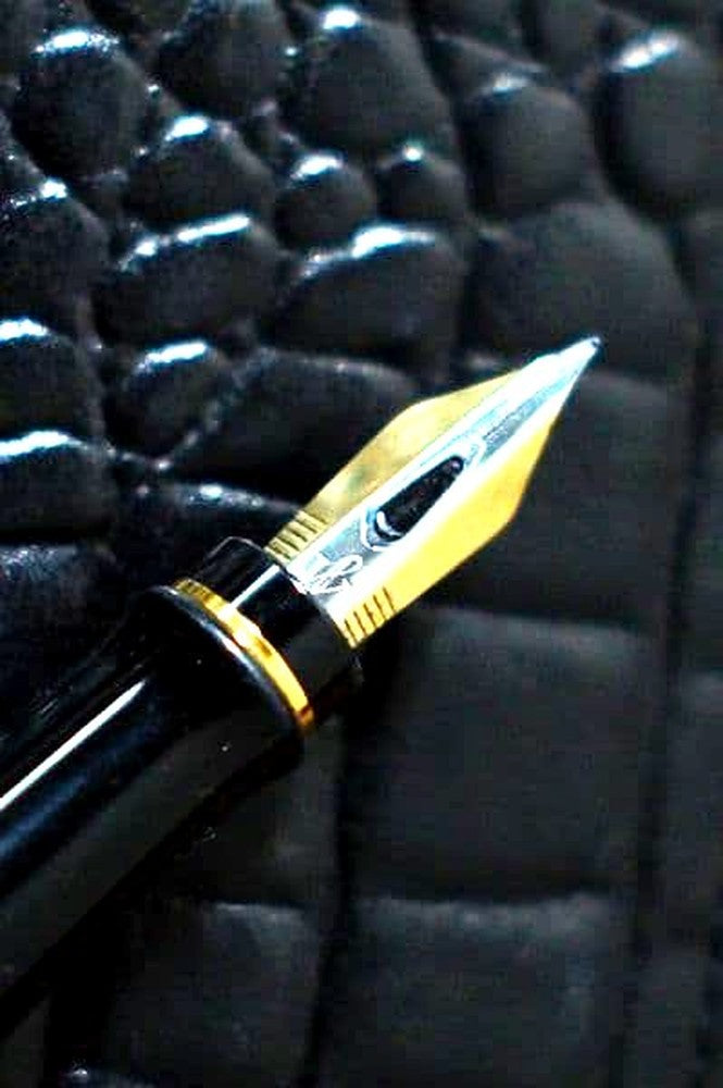 Waterman Expert Essential Classic Black fountain pen with extra fine nib and black lacquer finish