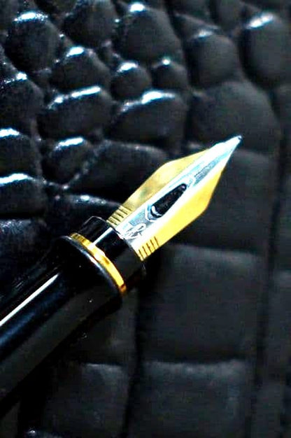Waterman Expert Essential Classic Black fountain pen with extra fine nib and black lacquer finish