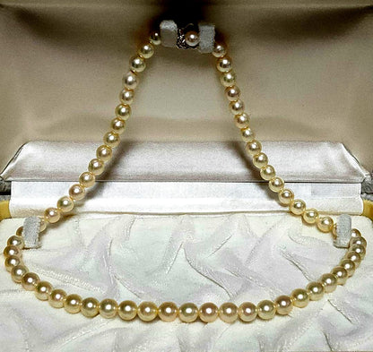 White Akoya pearl necklace with 6.8mm pearls on a 44cm silver chain